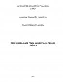 RESPONSABILIDADE PENAL AMBIENTAL DA PESSOA JURÍDICA