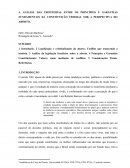 A ANÁLISE DAS FRONTEIRAS ENTRE OS PRINCÍPIOS E GARANTIAS FUNDAMENTAIS DA CONSTITUIÇÃO FEDERAL SOB A PERSPECTIVA DO ABORTO