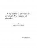 A Importância do Fornecimento e do uso do EPI na execução das atividades