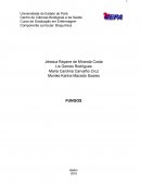 Fungos - Abordagem Bibliográfica sobre Candidíase, Histoplasmose, Pneumocistose e Criptococose