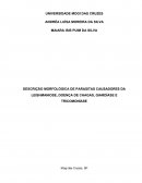 DESCRIÇÃO MORFOLÓGICA DE PARASITAS CAUSADORES DA LEISHMANIOSE, DOENÇA DE CHAGAS, GIARDÍASE E TRICOMONÍASE