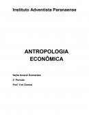 A Antropologia Econômica
