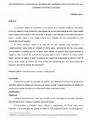 AS DIFERENTES VIVENCIAS DE USUÁRIOS DE CANNABIS SATIVA NA PRATICA DO CONSUMO EM PONTA GROSSA