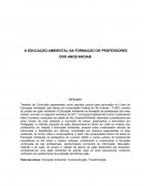 A EDUCAÇÃO AMBIENTAL NA FORMAÇÃO DE PROFESSORES DOS ANOS INICIAIS