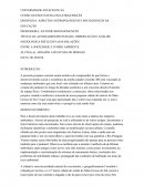 OBSERVAÇÃO E ANÁLISE SOCIOLÓGICA REFLEXIVA DAS RELAÇÕES ENTRE A SOCIEDADE E O MEIO AMBIENTE