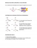 CONTRIBUIÇÃO DA SEGUNDA ESTRUTURA DE RESSONÂNCIA