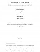 Estudo de Reações Químicas Espontâneas e Processos Eletroquímicos