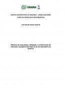 Relatório de aula prática: Utilização e conhecimento de vidrarias e equipamentos básicos de um laboratório de Química