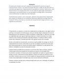 O Comportamento Organizacional