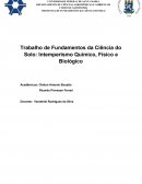 Trabalho de Fundamentos da Ciência do Solo: Intemperismo Químico, Físico e Biológico