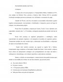 PAP Gestao de Seguros - Estudo de caso referente transportadora Mattos Ribeirao Pires - Modal Rodoviario