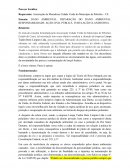 DANO AMBIENTAL. REPARAÇÃO DO DANO AMBIENTAL. RESPONSABILIDADE. AÇÃO CIVIL PÚBLICA. TUBULAÇÃO CLANDESTINA.