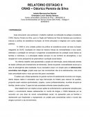 Curso de Bacharelado em Serviço Social