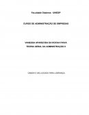 A TEORIA GERAL DA ADMINISTRAÇÃO II