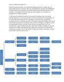 Analise Econômica de Negocio Estrutura Analítica de Projetos EAP