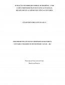 OS PROCEDIMENTOS TÉCNICOS E PROFISSIONAIS DE PERICÍA