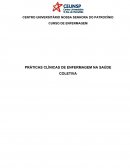 PRÁTICAS CLÍNICAS DE ENFERMAGEM NA SAÚDE COLETIVA