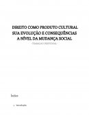 DIREITO COMO PRODUTO CULTURAL SUA EVOLUÇÃO E CONSEQUÊNCIAS A NÍVEL DA MUDANÇA SOCIAL