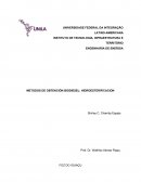 OS MÉTODOS DE OBTENCIÓN BIODIESEL: HIDROESTERIFICACION