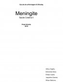 A Meningite Saúde Coletiva II