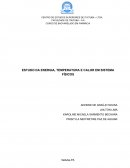 ESTUDO DA ENERGIA, TEMPERATURA E CALOR EM SISTEMA FÍSICOS