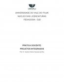 PRÁTICA DOCENTE: PROJETOS INTEGRADOS