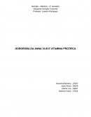 Relatório Nutrição Funcional