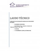 Laudo Técnico Secadores de Grãos