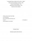 Relatório de Química Orgânica - Destilação da Gasolina