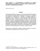 PENA DIVERSA E O MONITORAMENTO ELETRÔNICO DE PRESOS: EXPERIÊNCIAS DOS APENADOS DA COLÔNIA PENAL AGROINDUSTRIAL - CPAI COM A TORNOZELEIRA ELETRÔNICA