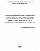 A ELABORAÇÃO DO DIAGNÓSTICO E DE ESTRATÉGIAS DE CONSOLIDAÇÃO DE ARRANJOS PRODUTIVOS