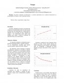 Relatório de Física - Torque