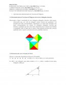 Apresente duas Demonstrações do Teorema de Pitágoras