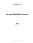 ESTÁGIO ESPECÍFICO II RELATÓRIO DE ATIVIDADES PRÁTICAS DESENVOLVIDAS