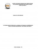 A POSSIBILIDADE DE REDUÇÃO DA JORNADA DE TRABALHO DO EMPREGADO PÚBLICO QUANDO RESPONSÁVEL POR PESSOA DEFICIENTE