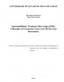 Sustentabilidade: Produção Mais Limpa (PML) Utilizando a Ferramenta Corte Certo 2D em uma marcenaria.