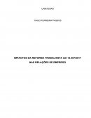 IMPACTOS DA REFORMA TRABALHISTA LEI 13.467/2017 NAS RELAÇÕES DE EMPREGO