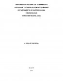 DEPARTAMENTO DE ANTROPOLOGIA E MUSEOLOGIA CURSO DE MUSEOLOGIA A RODA DE CAPOEIRA