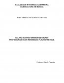 RELATO DE CINCO DIFERENTES GRUPOS PROFISSIONAIS OU DE RENOMADOS FLAUTISTAS DOCE.