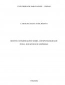 Breves Considerações sobre a Responsabilidade Penal dos Sócios de Empresas