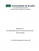 Trabalho de Conclusão de Curso Apresentado à Banca Examinadora