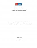 Relatório técnico Sobre o vídeo (Carne e osso)