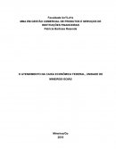 O ATENDIMENTO NA CAIXA ECONÔMICA FEDERAL, UNIDADE DE MINEIROS-GOIÁS