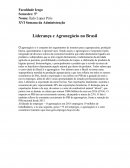 Liderança e Agronegócio no Brasil