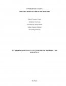 TECNOLOGIAS ASSISTIVAS E A INCLUSÃO DIGITAL DA PESSOA COM DEFICIÊNCIA