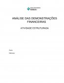 ANÁLISE DAS DEMONSTRAÇÕES FINANCEIRAS