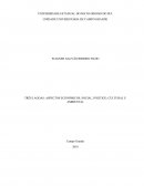 TRÊS LAGOAS: ASPECTOS ECONÔMICOS, SOCIAL, POLÍTICO, CULTURAL E AMBIENTAL