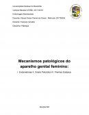 Mecanismos Patológicos: Endometriose; Ovário Policístico; Prenhez Ectópica.