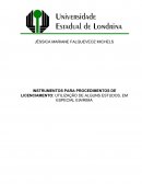 INSTRUMENTOS PARA PROCEDIMENTOS DE LICENCIAMENTO: UTILIZAÇÃO DE ALGUNS ESTUDOS, EM ESPECIAL EIA/RIMA