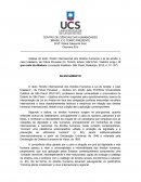 Análise do texto "Direito internacional dos direitos humanos e lei de anistia: o caso brasileiro"